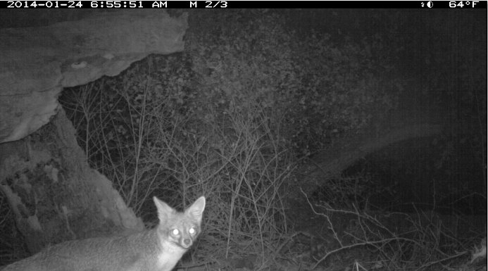 10 Ways Conservation Technology Shifted into Auto in 2018