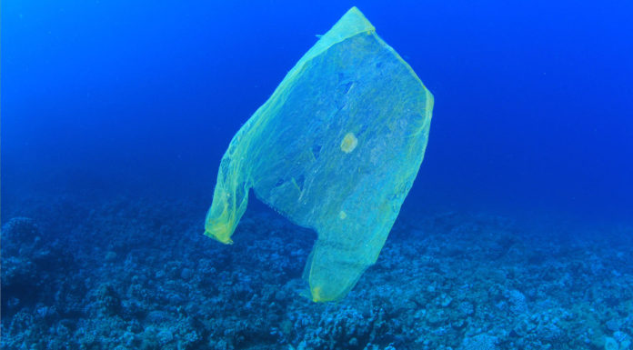 Investment Accelerator Competition to Help UK Businesses Tackle Ocean Plastics