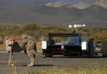 Formula E: Highlighting Climate Change Impacts While Taking a Walk on the Wild Side