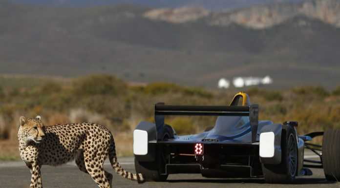 Formula E: Highlighting Climate Change Impacts While Taking a Walk on the Wild Side