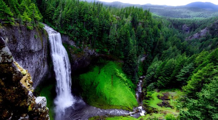 Five maps that reveal the world’s remaining wilderness