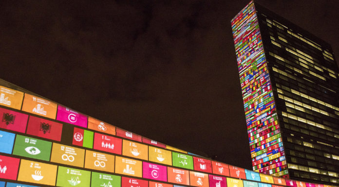 THE COMMITTEES: Setting out to ‘transform the world’ in the General Assembly’s Second Committee