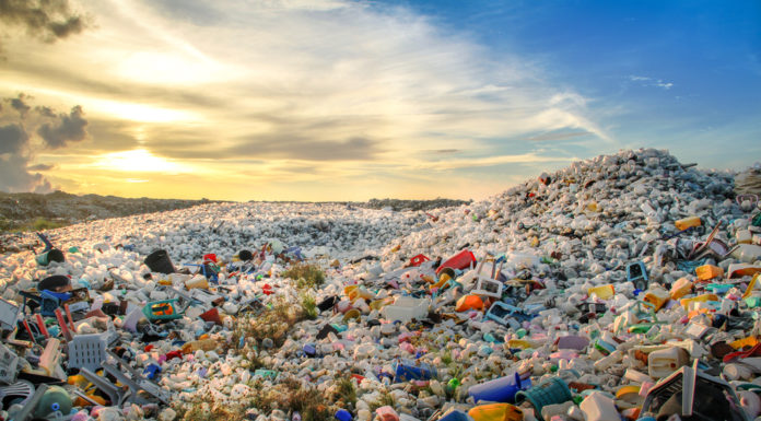 Bali Bans Single-Use Plastics