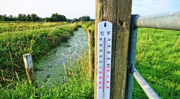 What’s the Difference? Impacts of 1.5˚C vs. 2˚C