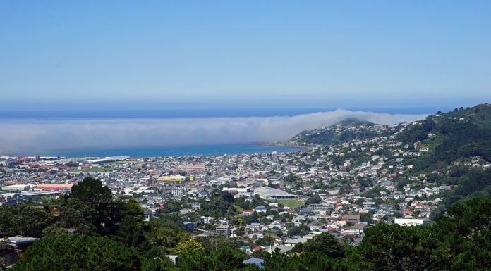 New Zealand Plastic Bag Phase Out Confirmed