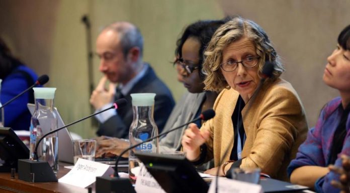 IUCN’s Inger Andersen to Head United Nations Environment Programme