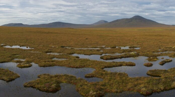 Carbon farming: how agriculture can both feed people and fight climate change