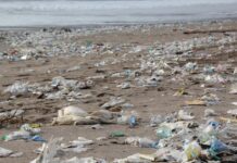Japan and UN Environment Join Together in Battle Against Marine Litter