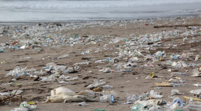 Japan and UN Environment Join Together in Battle Against Marine Litter