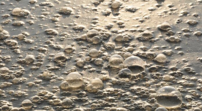 Punishing the polluters: why large fines are an important step towards cleaner corporations