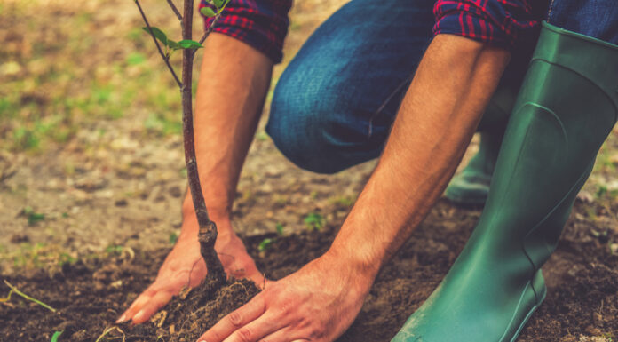 The Nature Conservancy Launches #WinForEarth