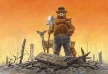 Preventing Wildfires Since 1944: The Story of the Real Smokey Bear