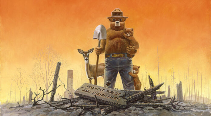 More than 75 Years of Wildfire Prevention: The Story of the Real Smokey Bear