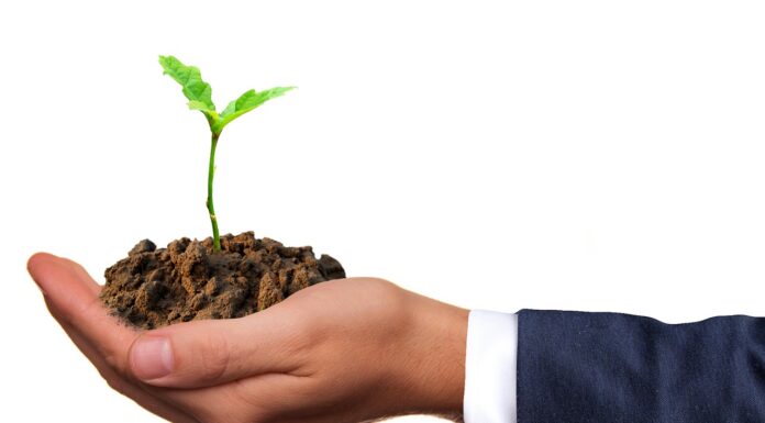 National Geographic Joins Sustainable Brands in Push for a Sustainable Economy