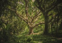 24 hours for more sustainable todays and tomorrows