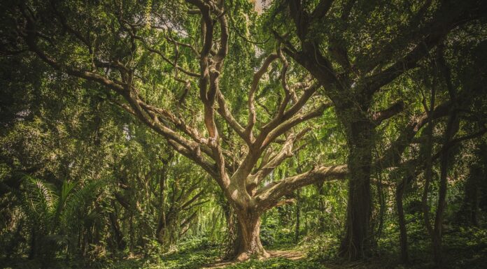 24 hours for more sustainable todays and tomorrows