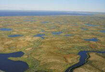 Peatlands on permafrost