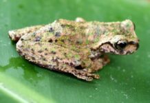 Finalists Announced for Con X Tech Prize