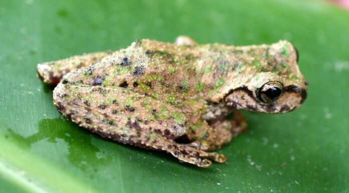 Finalists Announced for Con X Tech Prize