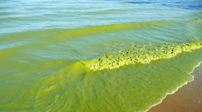 Worsening Water Quality Reducing Economic Growth by a Third, Says World Bank