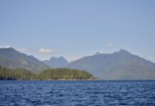 Canada Invests $175 Million in Nature Conservation Projects