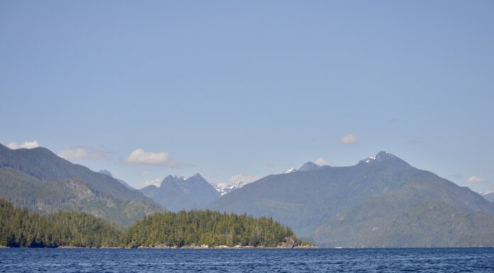 Canada Invests $175 Million in Nature Conservation Projects