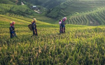 How are Farmers Responding to COVID-19?