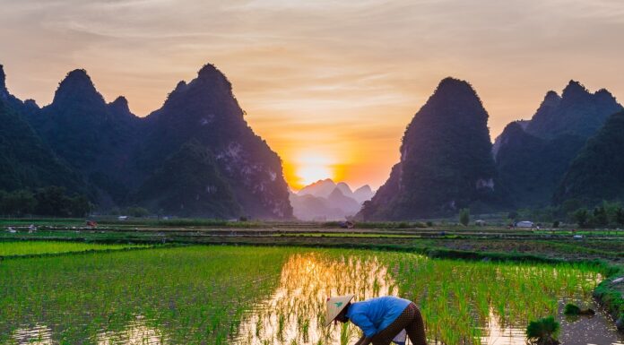 Feeding the world: archaeology can help us learn from history to build a sustainable future for food