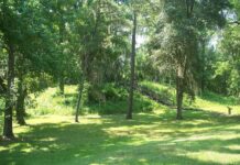 Rising seas threaten hundreds of Native American heritage sites along Florida’s Gulf Coast