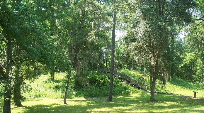 Rising seas threaten hundreds of Native American heritage sites along Florida’s Gulf Coast