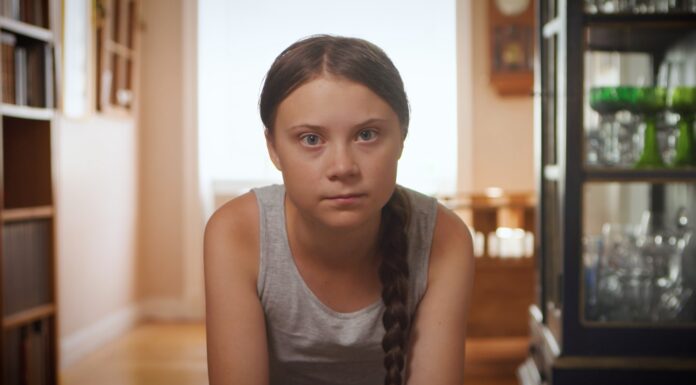 World is ‘Ignoring Natural Climate Solutions’, says Greta Thunberg