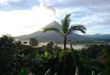 Costa Rica Named UN Champion of the Earth, Launches Global Coalition to Protect Nature