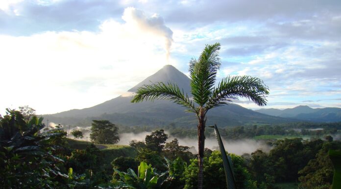 Costa Rica Named UN Champion of the Earth, Launches Global Coalition to Protect Nature