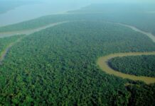 Deforestation Intensifies Warming in the Amazon Rain Forest