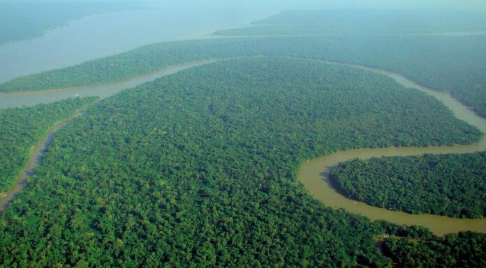 Deforestation Intensifies Warming in the Amazon Rain Forest