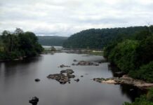 Gabon to Receive $150 million from Norway to Preserve Rainforests