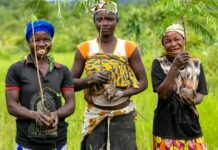 The trees that help the Daka River flow