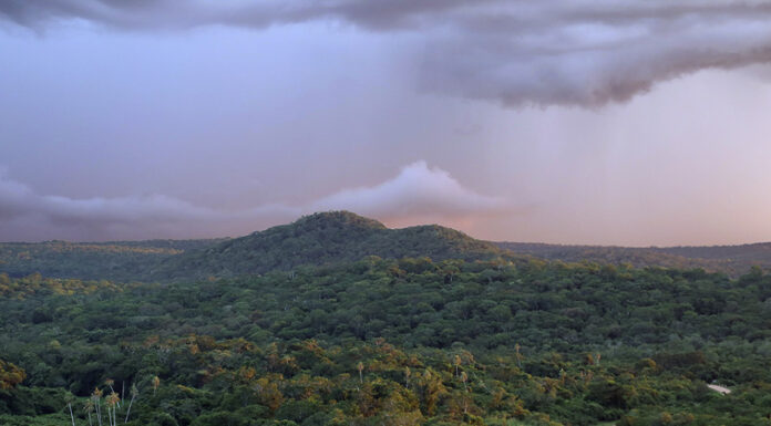 Tracking Bolivian Forest Fires: New App Launched May Aid Firefighter Response Time