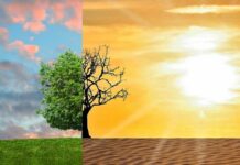 It Affects You: UAE Announces Video Competition to Shed Light on the Climate Crisis