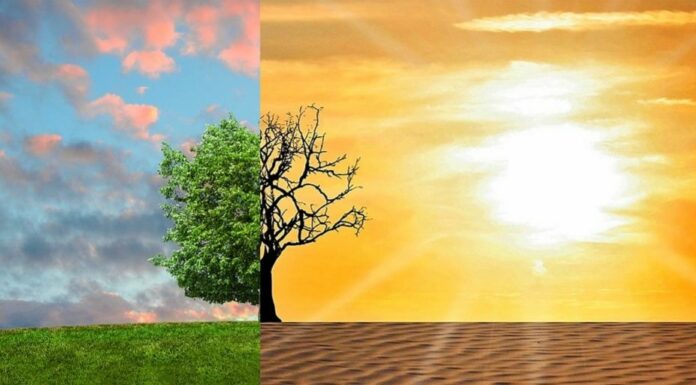 It Affects You: UAE Announces Video Competition to Shed Light on the Climate Crisis