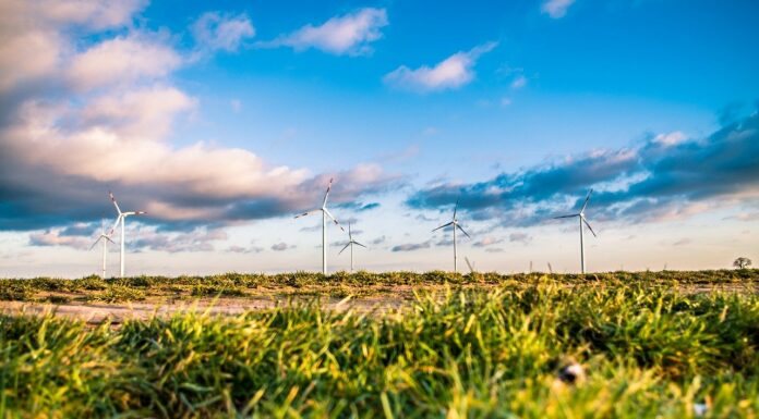 Google Sets Goal to Become Carbon-Free by 2030