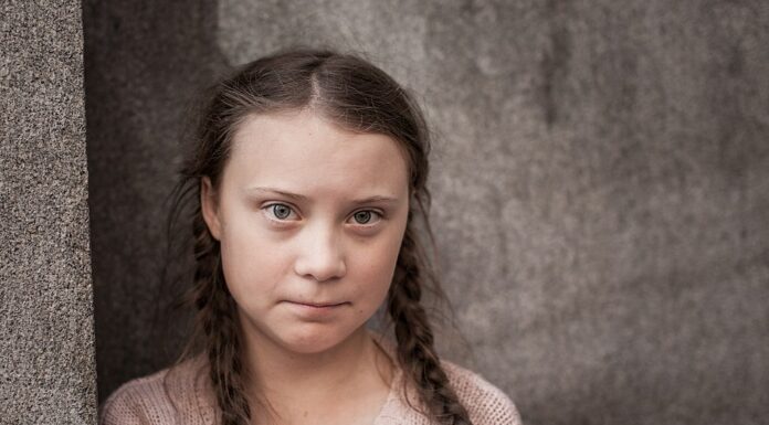 A year of resistance: How youth protests shaped the discussion on climate change