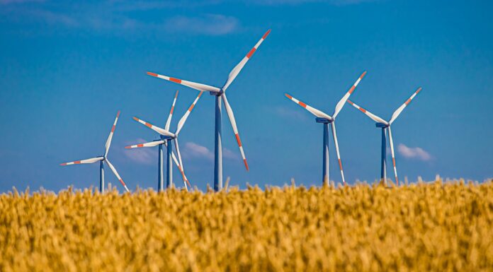 How small states can cut their carbon emissions to net zero – Wales has already started