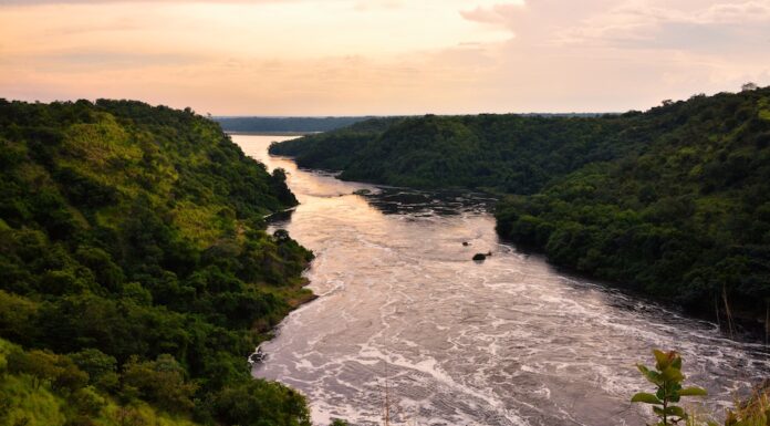 In the Future There Will be More Rain, but Less Water, in the Nile Basin