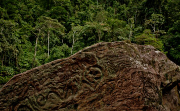 Management of Intact Forestlands by Indigenous Peoples Key to Protecting Climate