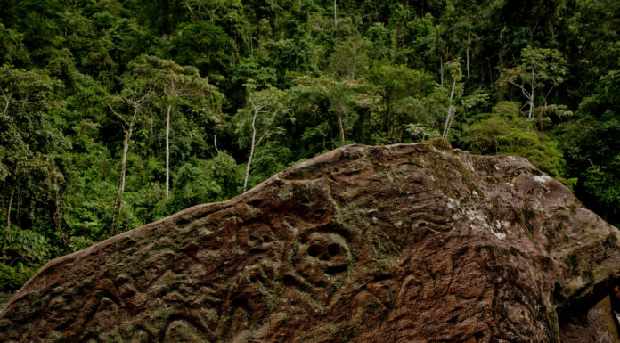 Management of Intact Forestlands by Indigenous Peoples Key to Protecting Climate