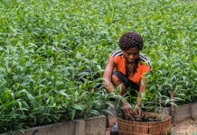 To Adapt to Climate Change are Vulnerable Countries Getting the Money They Need?