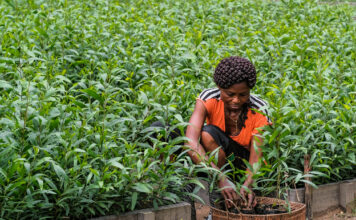 To Adapt to Climate Change are Vulnerable Countries Getting the Money They Need?