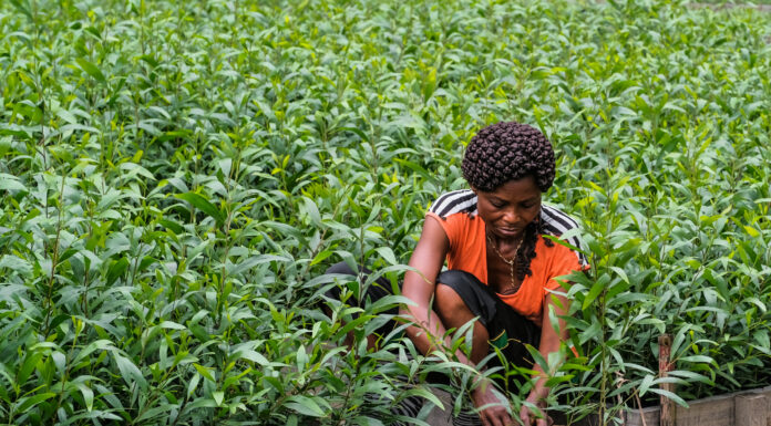 To Adapt to Climate Change are Vulnerable Countries Getting the Money They Need?