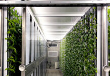 Farms Inside Shipping Containers Could Grow More Local Produce